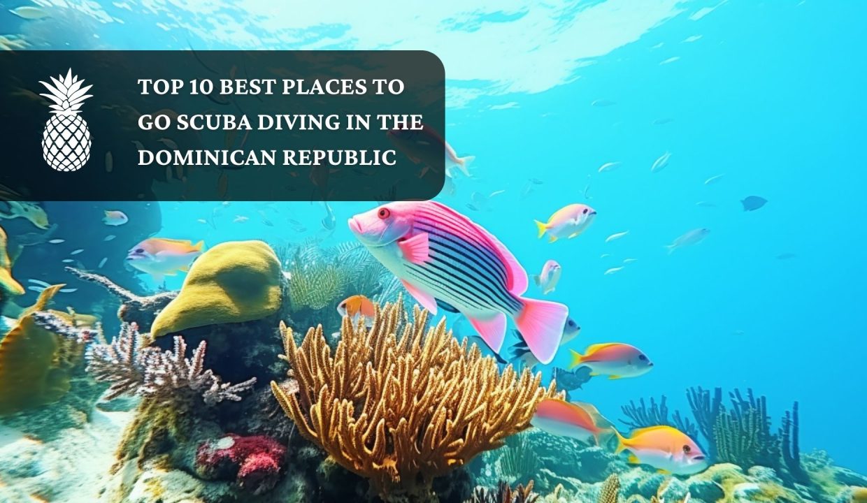 Le Top 10 destinations de plongée sous-marine en République Dominicaine