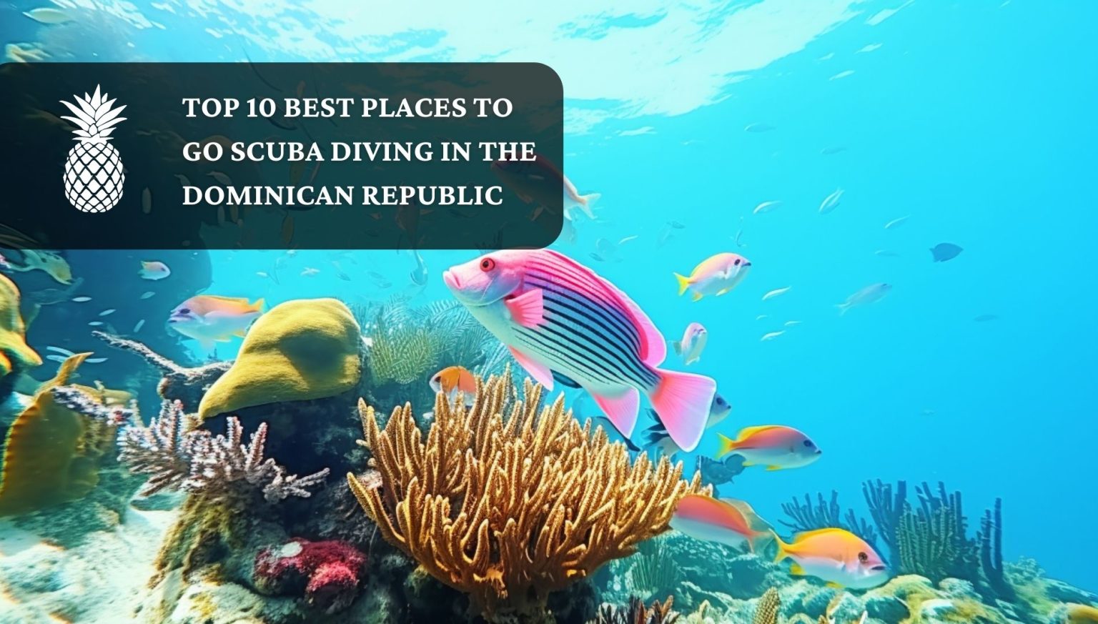 The Top 10 Scuba Diving Destinations in the DR