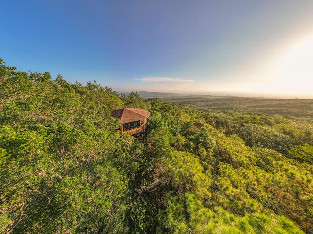 Villa TreeHouse