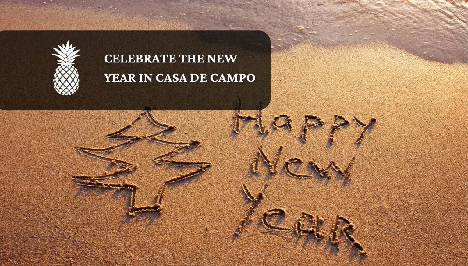 new year in casa de campo