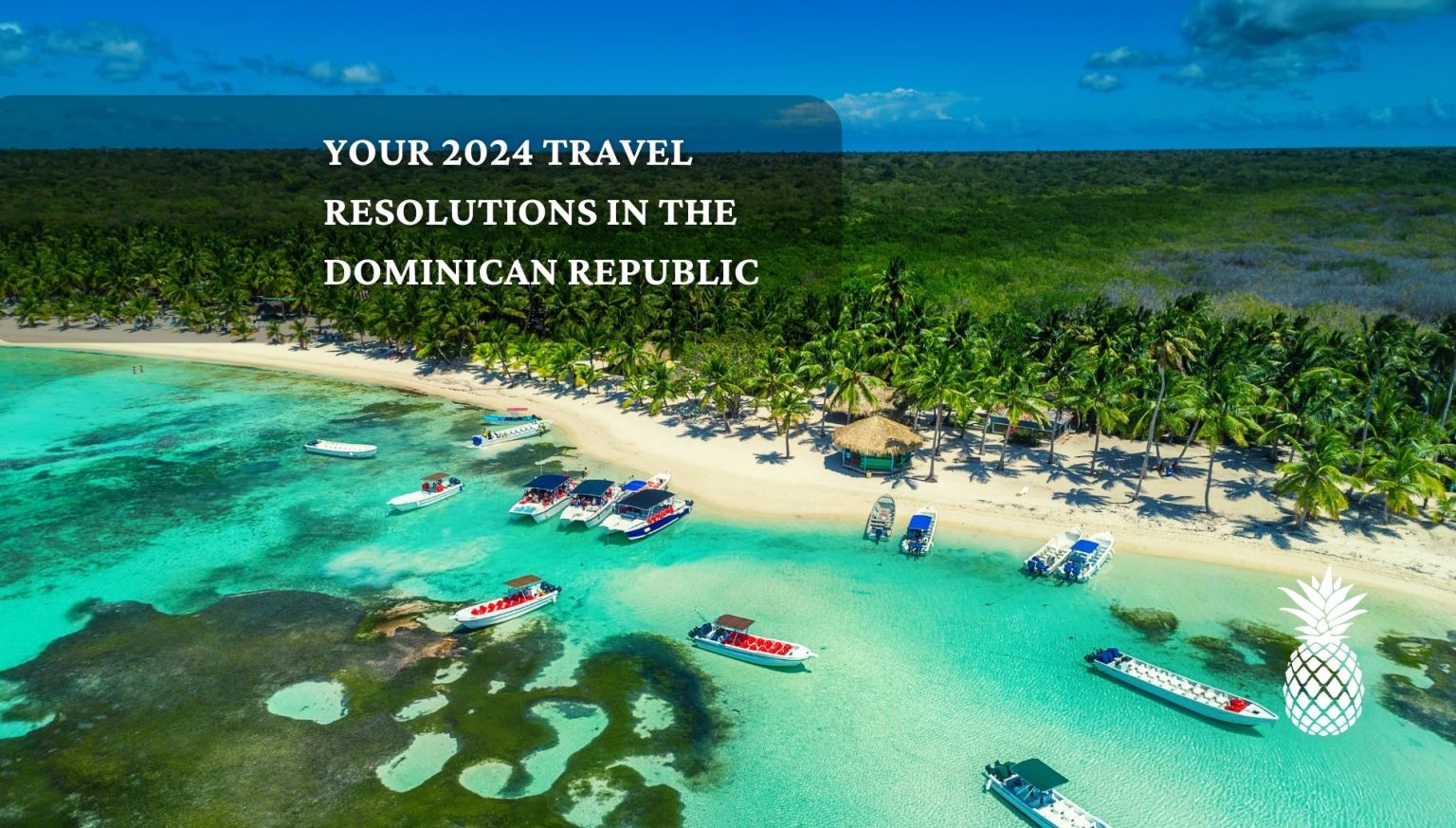 Resolution 2024 Den Dominikanske Republik
