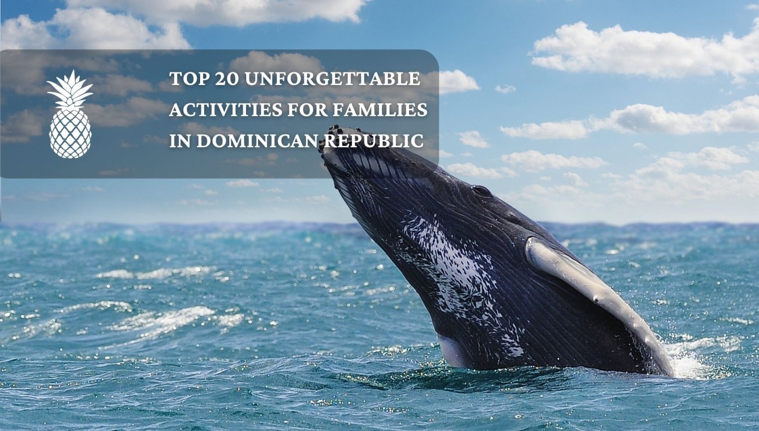 La mejor actividad familiar en República Dominicana