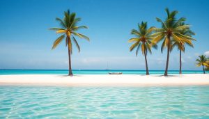 Best Time to Visit the Dominican Republic: Your Ultimate Travel Guide
