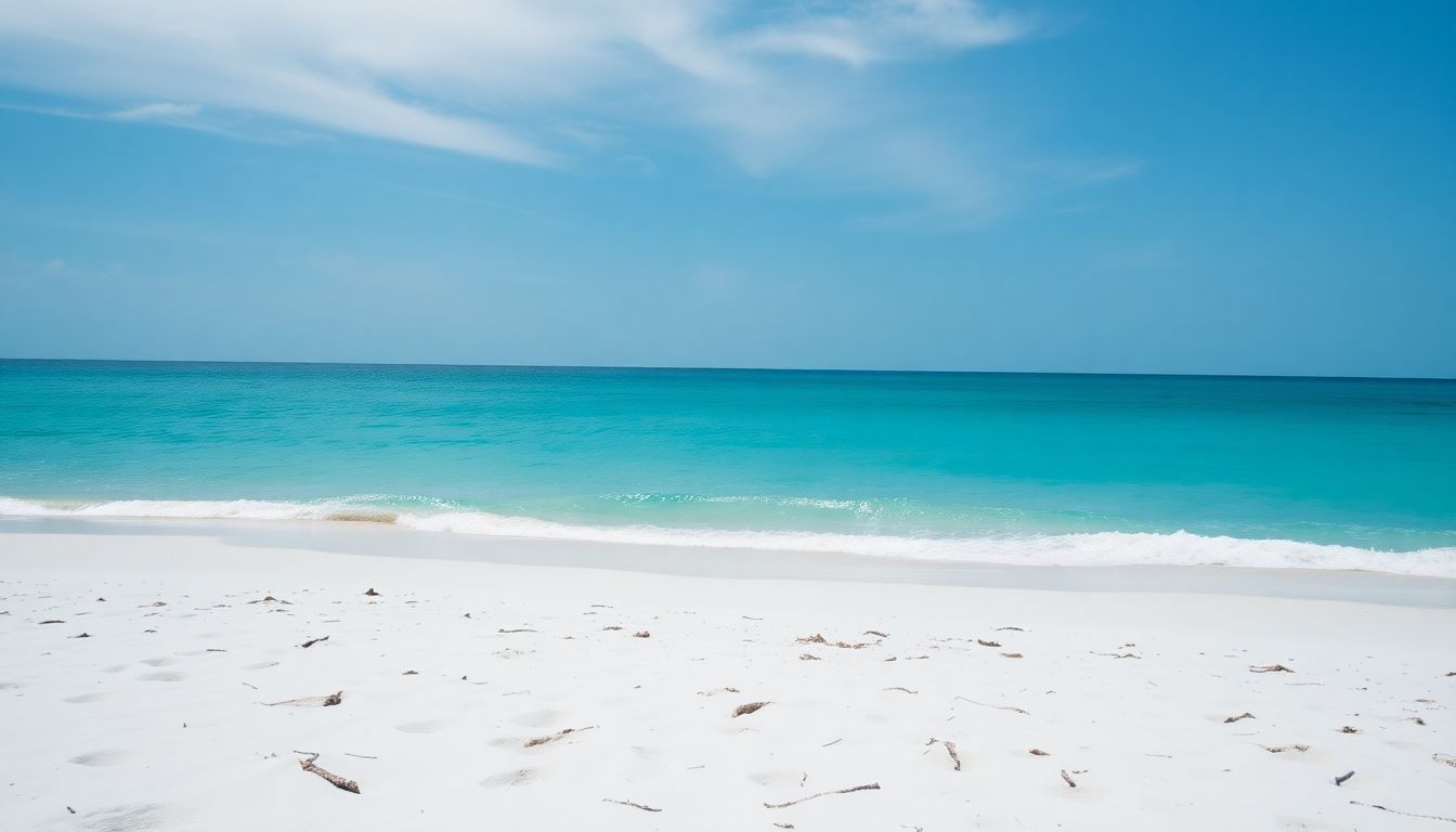 A serene beach in the Dominican Republic with soft white sand and clear turquoise waters.